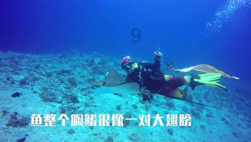 读端丨浙江迭代升级“8+4” 秦诗立:政策工具箱更新“一直在路上”