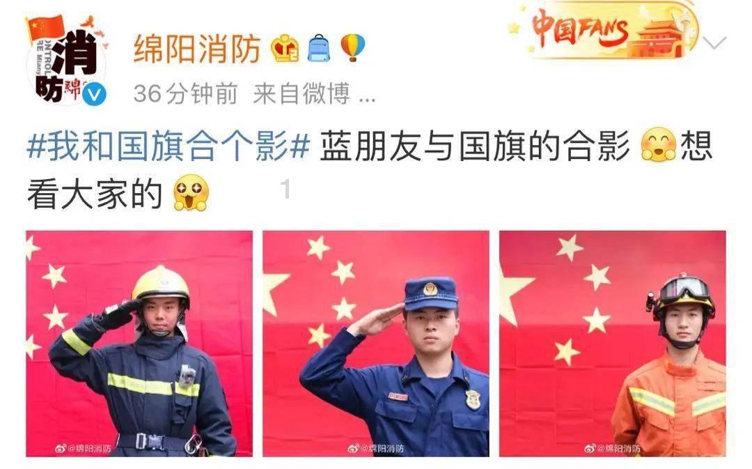 胖小猫救援